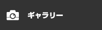 ギャラリー